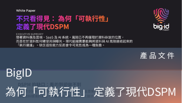 產品文件－BigID 不只看得見： 為何「可執行性」 定義了現代DSPM